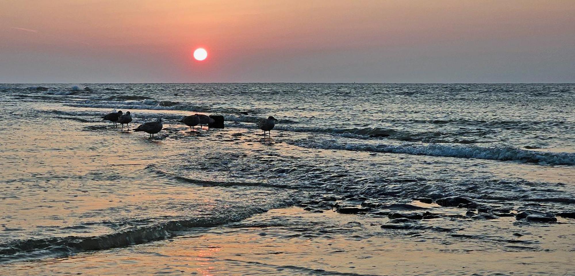 Zanddijk 113, Julianadorp Aan Zee Bagian luar foto